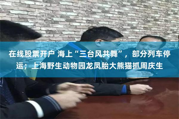 在线股票开户 海上“三台风共舞”，部分列车停运；上海野生动物园龙凤胎大熊猫抓周庆生