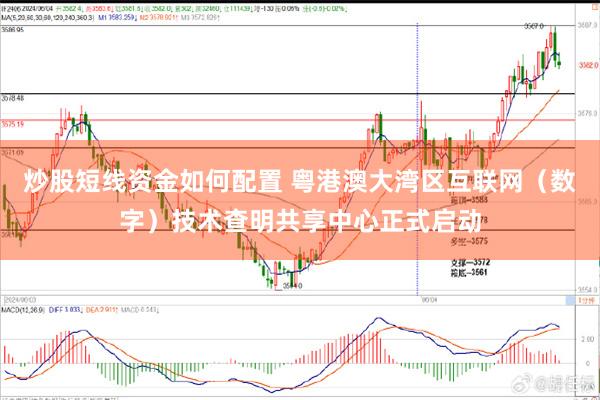 炒股短线资金如何配置 粤港澳大湾区互联网（数字）技术查明共享中心正式启动