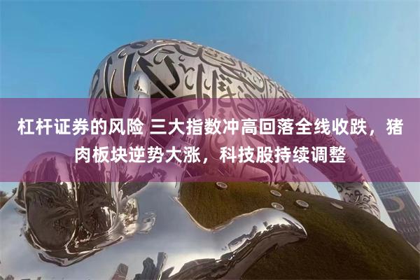 杠杆证券的风险 三大指数冲高回落全线收跌，猪肉板块逆势大涨，科技股持续调整