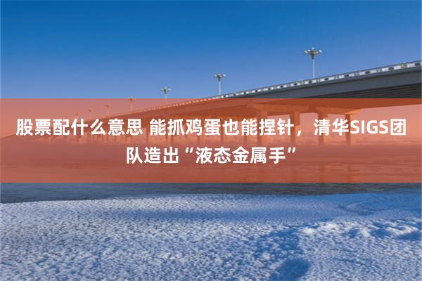 股票配什么意思 能抓鸡蛋也能捏针,清华SIGS团队造出“液态金属手”